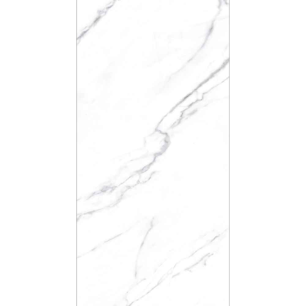 STATUARIO GREY MATT 60x120